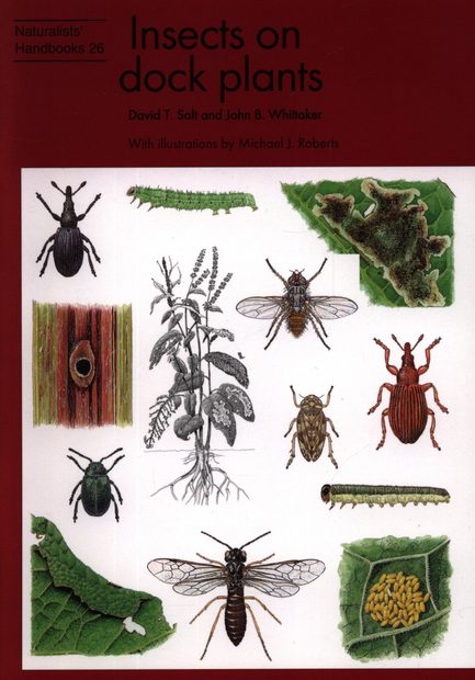 Insects on Dock Plants