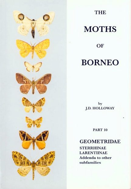 The Moths of Borneo, Part 10