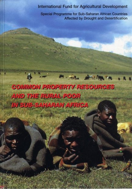 Common Property Resources and the Rural Poor in Sub-Saharan Africa