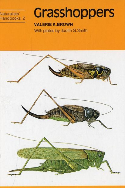 Grasshoppers