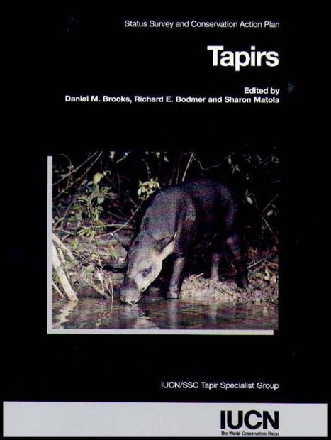 Tapirs
