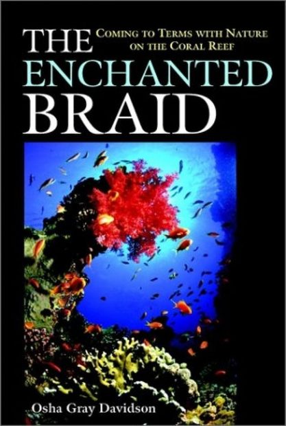 The Enchanted Braid