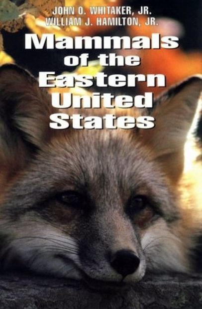 Mammals of the Eastern United States | NHBS Academic & Professional Books