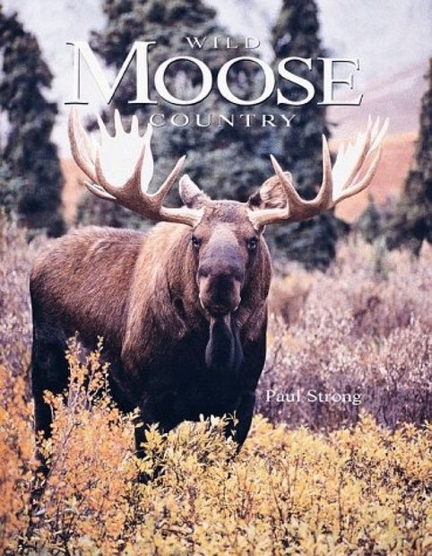 Wild Moose Country