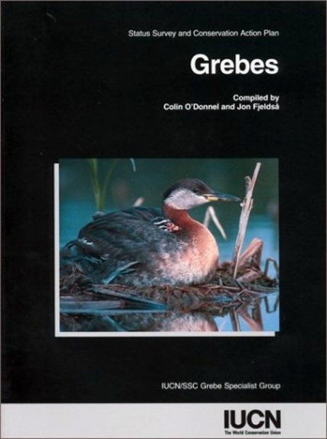 Grebes: Status Survey and Conservation Action Plan