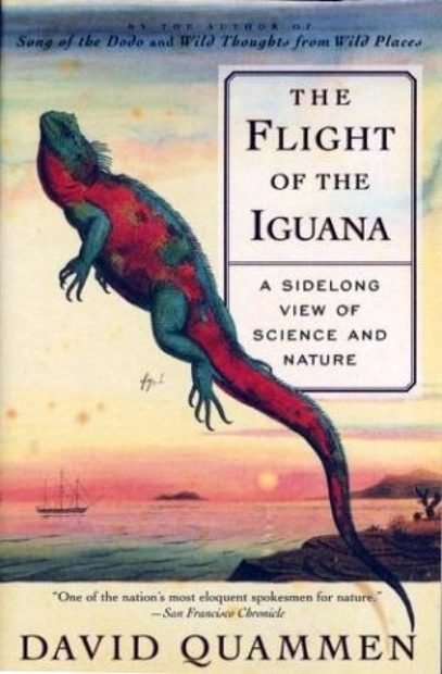 The Flight of the Iguana