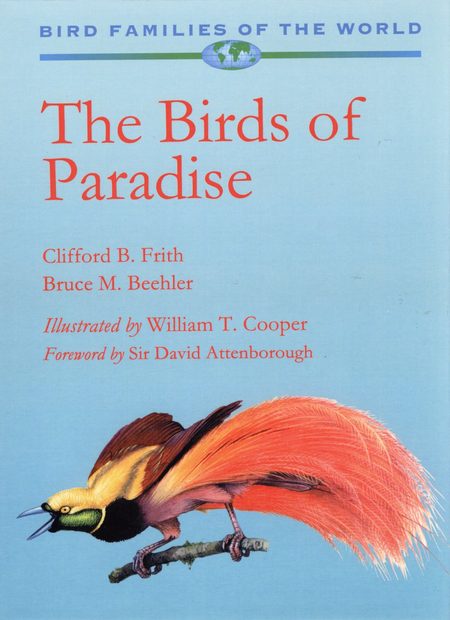 Birds of Paradise