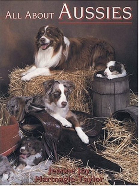 All about Aussies: The Australian Shepherd from A to Z
