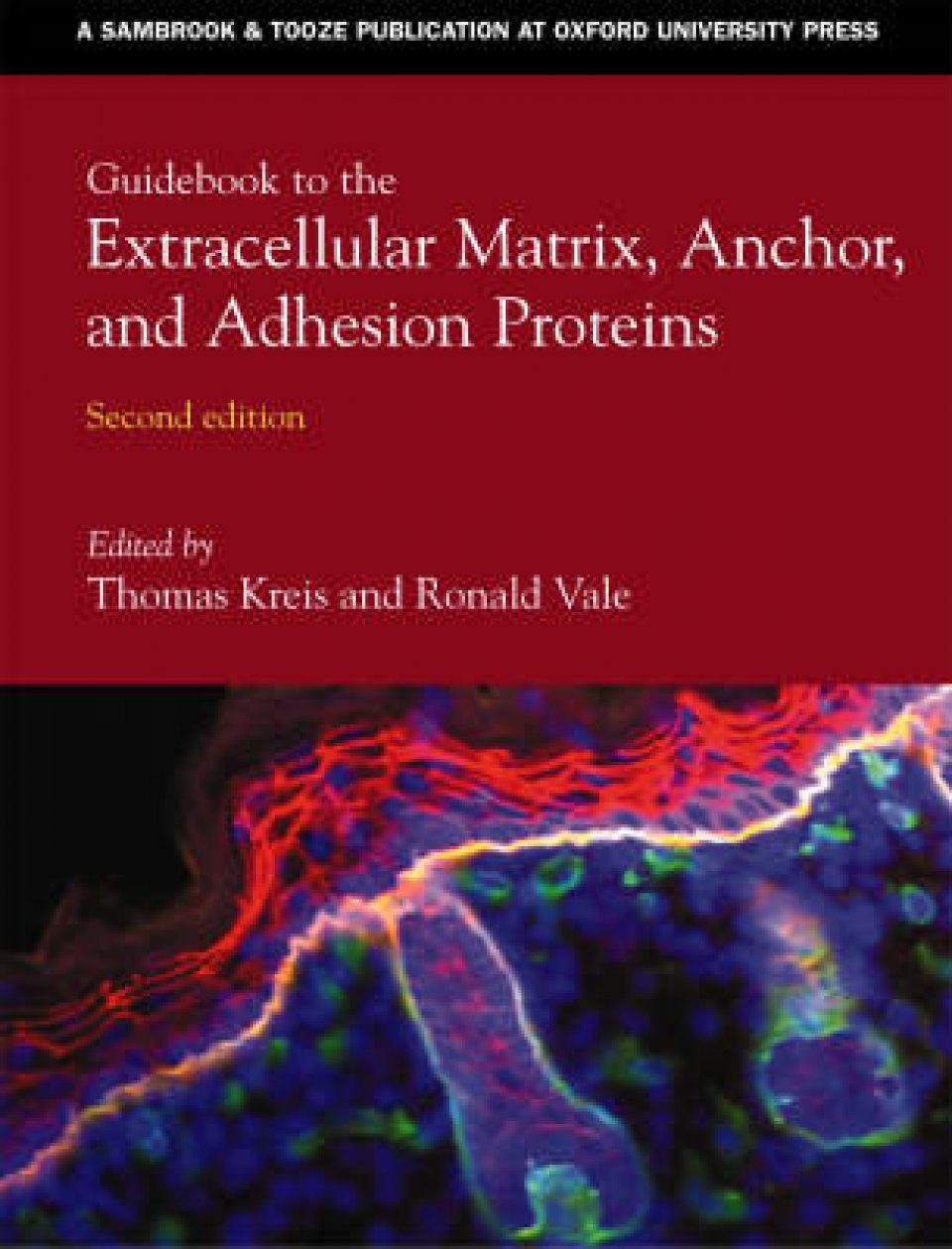 Guidebook To The Extracellular Matrix And Adhesion Proteins | NHBS ...