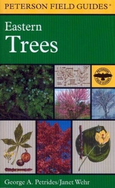 Peterson Field Guide to Eastern Trees