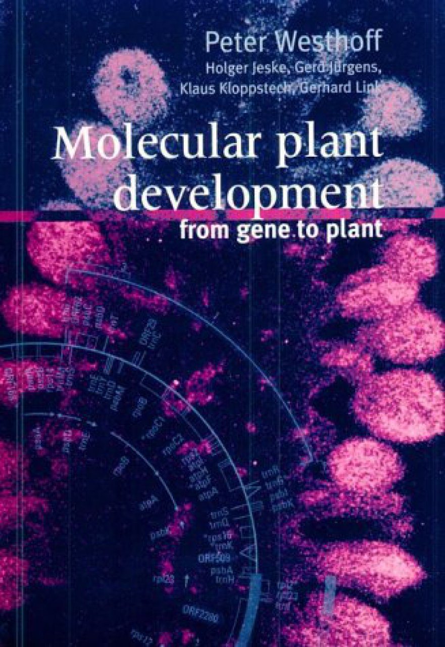 Molecular Plant Development: From Gene To Plant | NHBS Academic ...