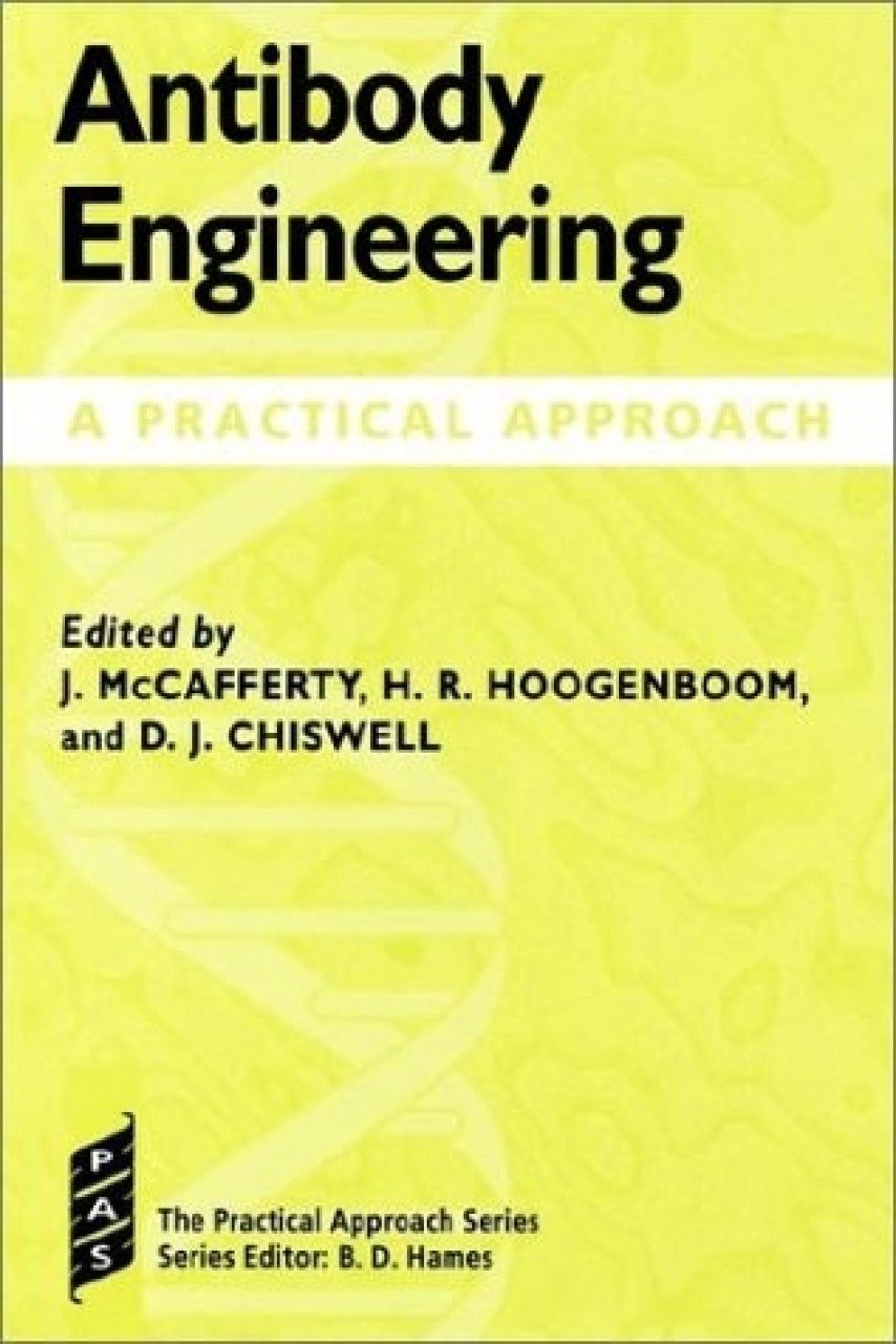 Antibody Engineering A Practical Approach NHBS Academic