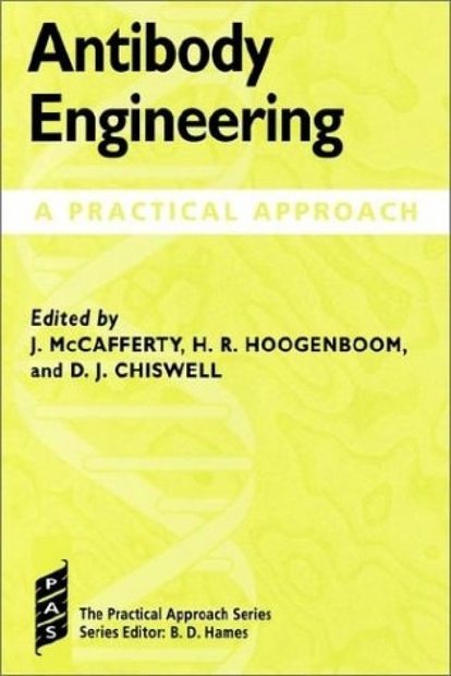 Antibody Engineering: A Practical Approach