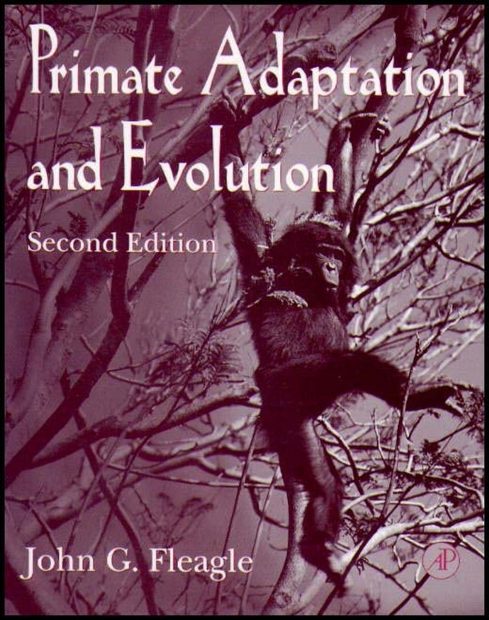 Primate Adaptation and Evolution
