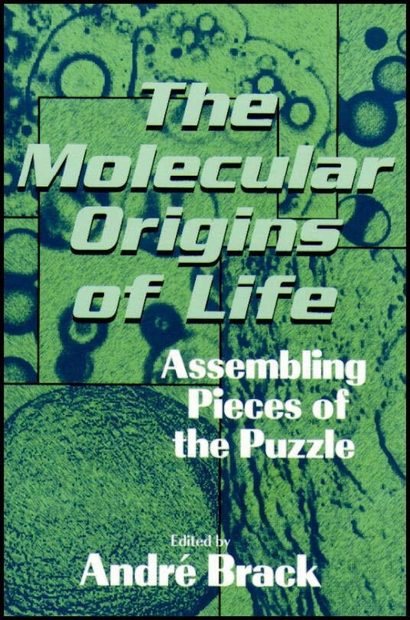 The Molecular Origins of Life