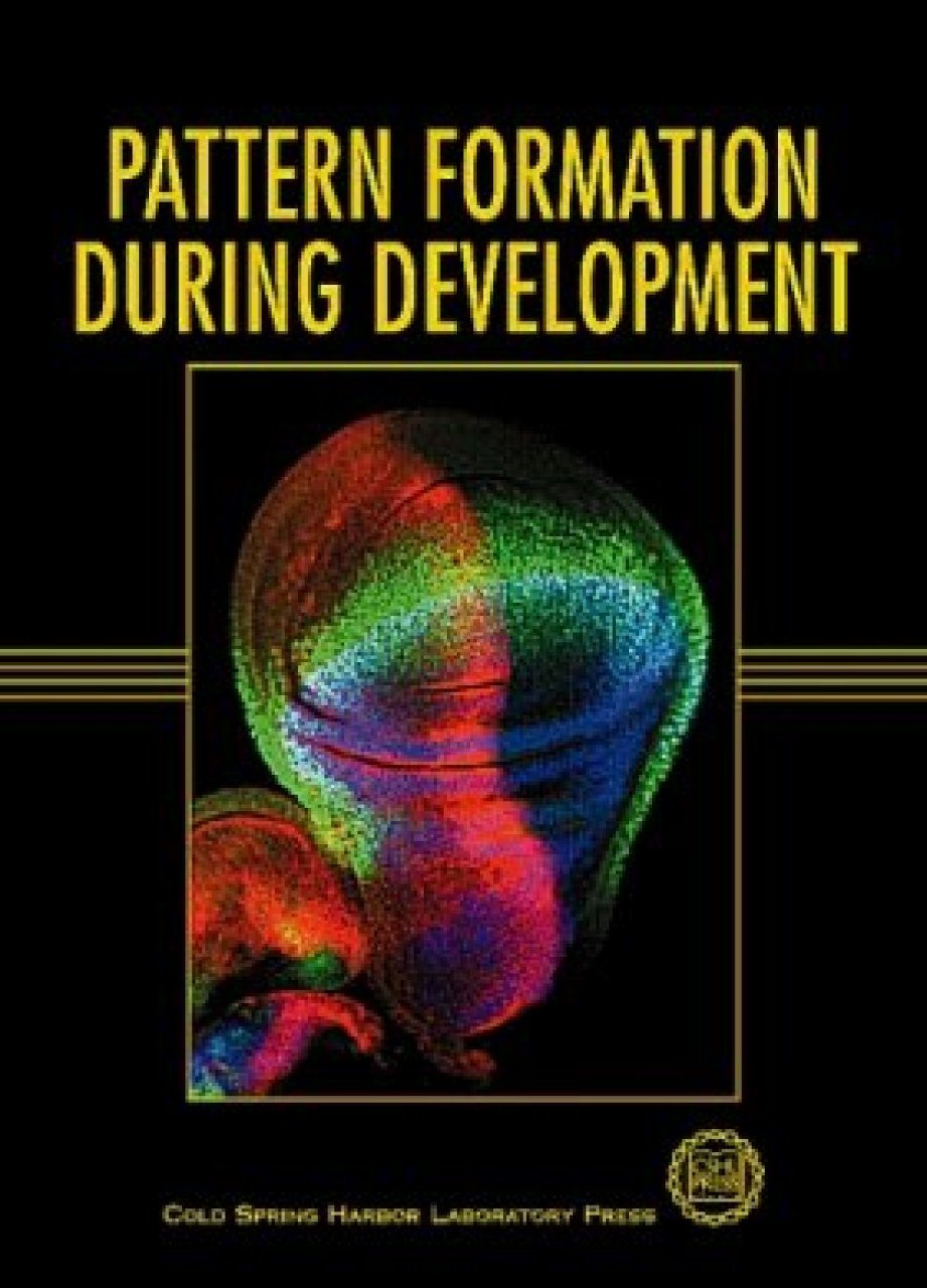 Pattern Formation during Development | NHBS Academic & Professional Books