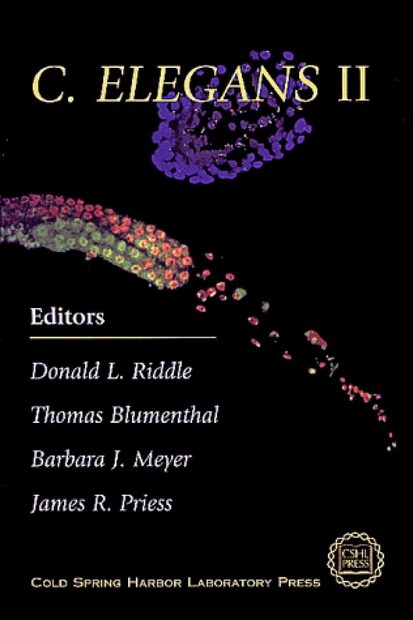 C. Elegans II