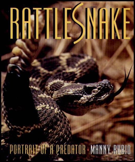 Rattlesnake: Portrait of a Predator