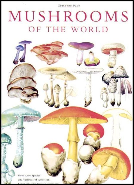 Mushrooms of the World