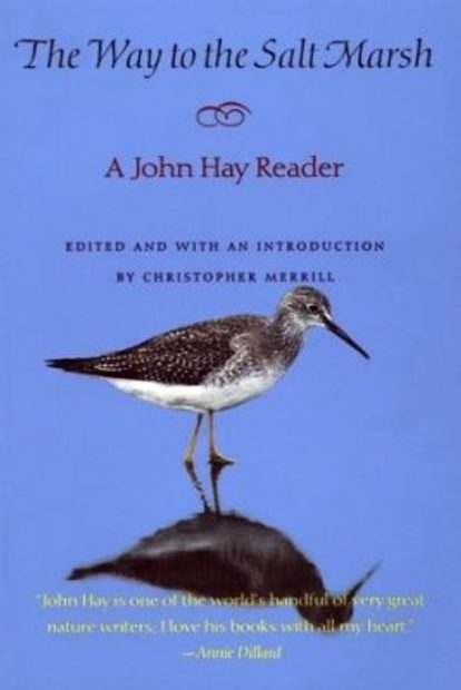 The Way to the Salt Marsh