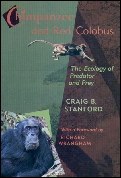 Chimpanzee and Red Colobus