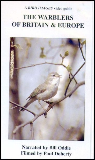 The Warblers of Britain and Europe