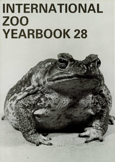 International Zoo Yearbook 28: Reptiles and Amphibians