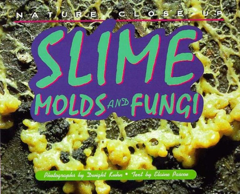 Slime, Molds and Fungi