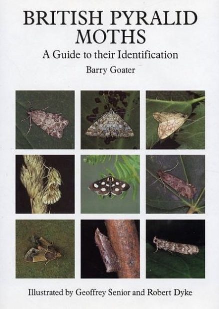 British Pyralid Moths