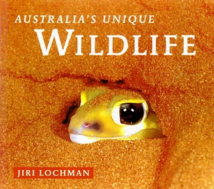 Australia's Unique Wildlife