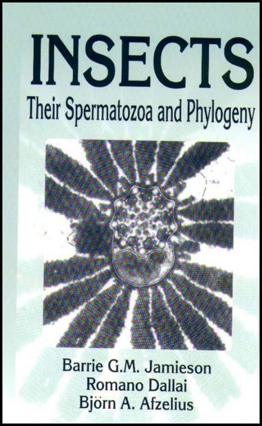 Insects: Their Spermatozoa and Phylogeny
