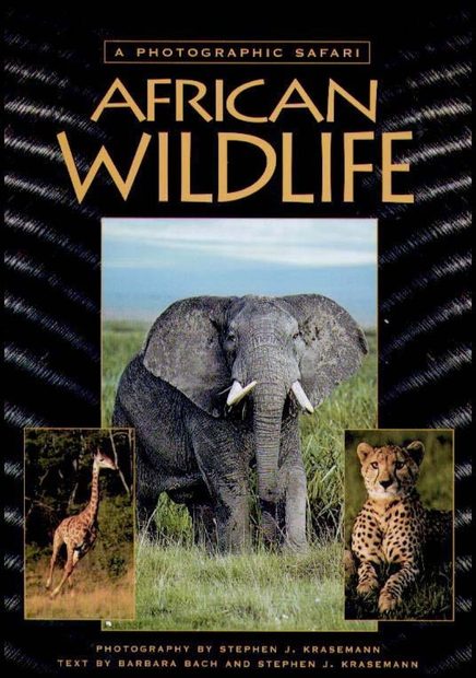 African Wildlife