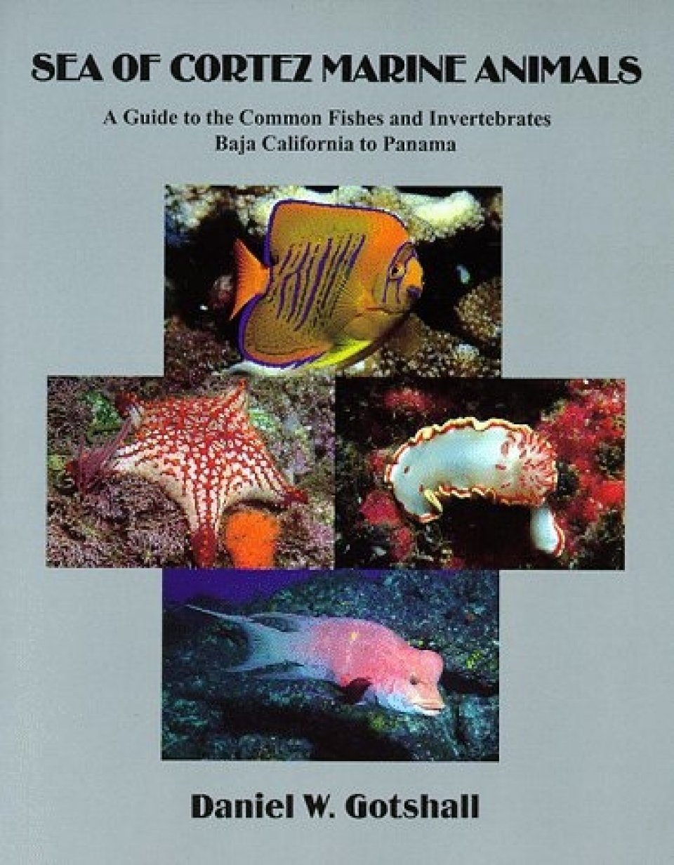 Visual Guide of 1400 Fish Species with Photo Reference [Japanese]