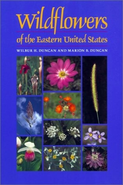 Wildflowers of the Eastern United States