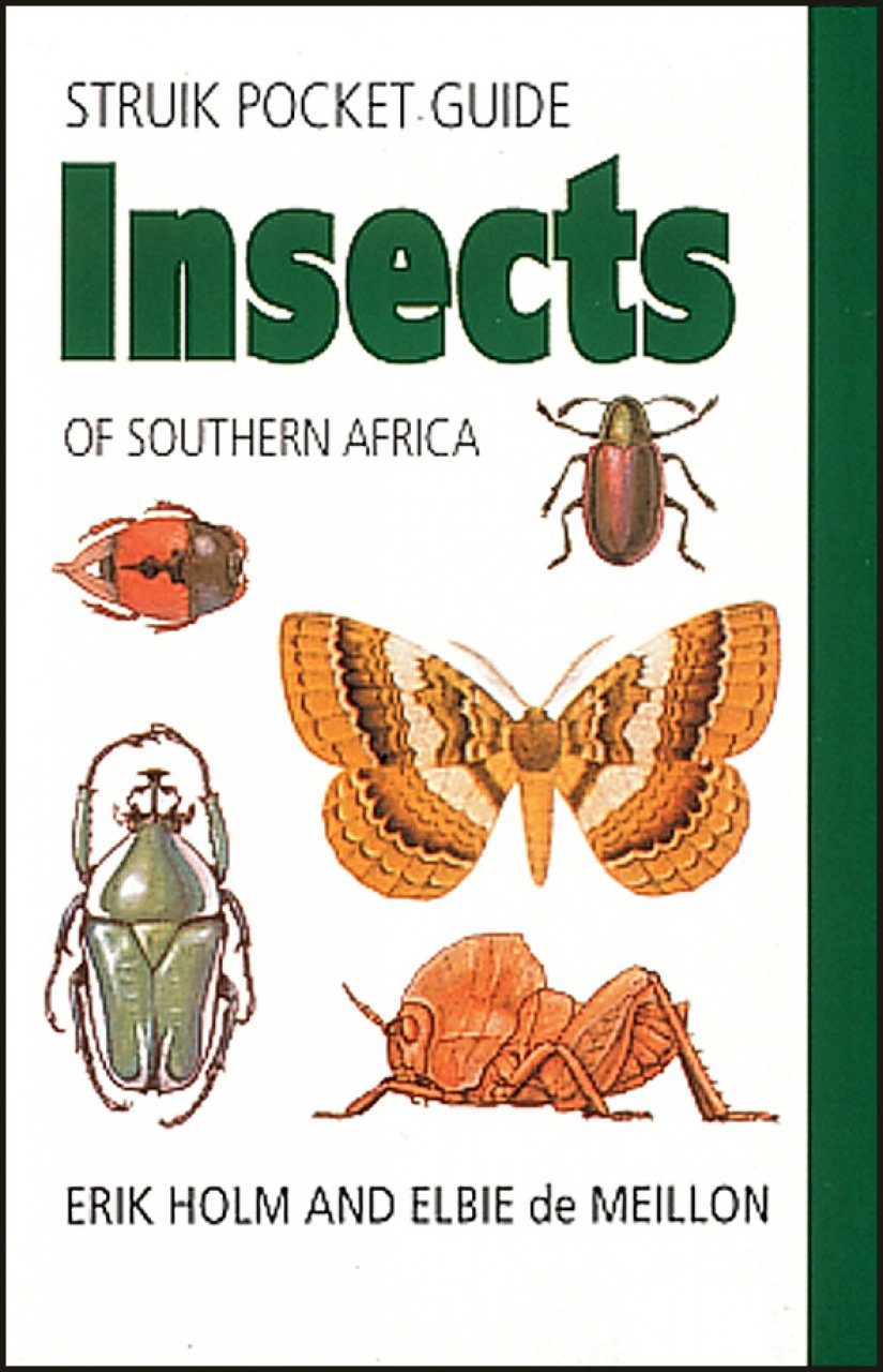 Struik Pocket Guide Insects Of Southern Africa Nhbs