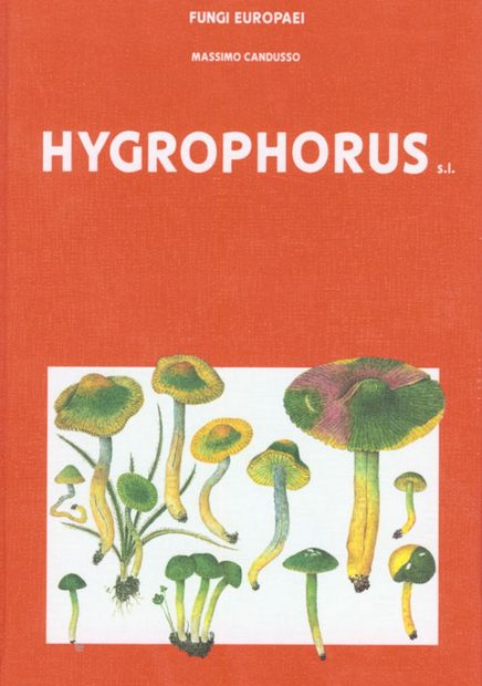 Fungi Europaei, Volume 6: Hygrophorus s.l. [Italian]