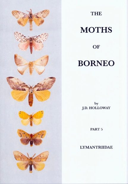 The Moths of Borneo, Part 5