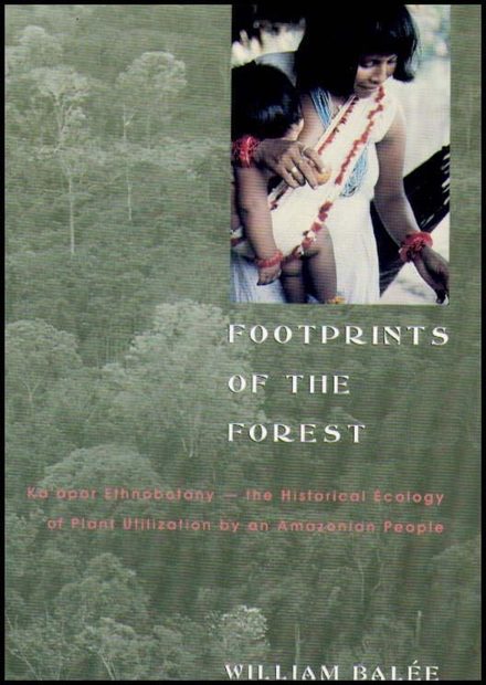 Footprints of the Forest