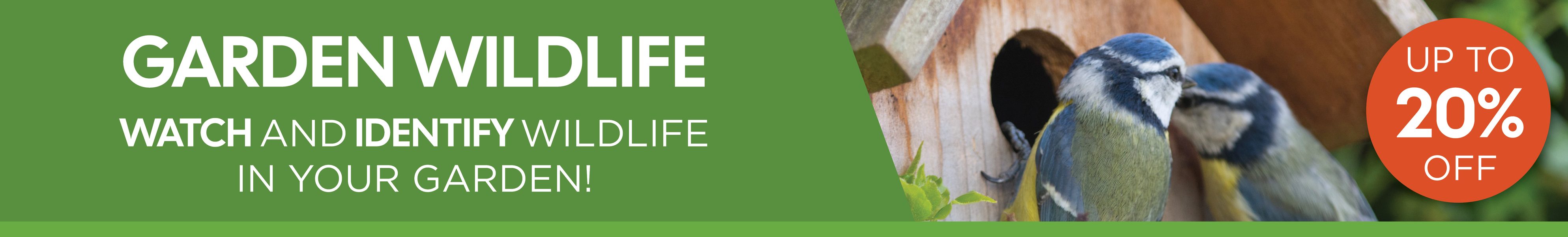 Ecology promo banner